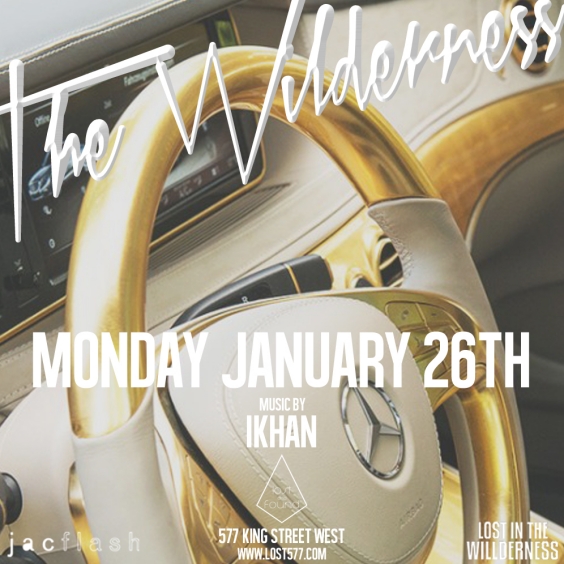 The Wilderness - Mondays - Lost And Found
