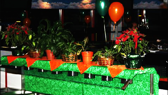 Coconuts Nightclub
