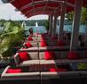 Sarcoa Fridays - #Wild4Love