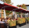 Sarcoa Fridays - #Wild4Love