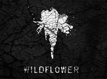 Wildflower Halloween 2015