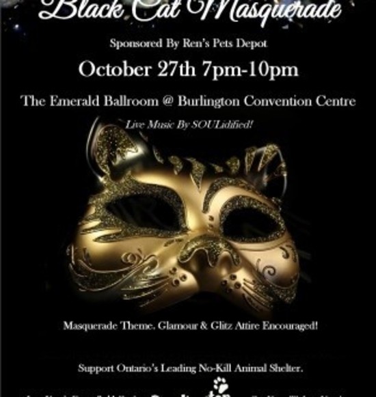 Black Cat Masquerade