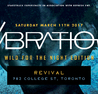 VYBRATION - Wild For The Night Edition