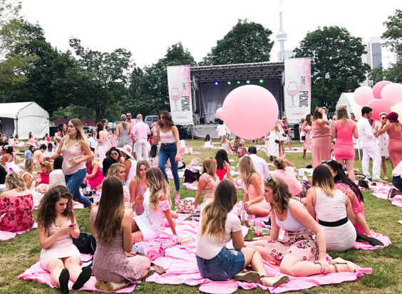 The Rose Picnic
