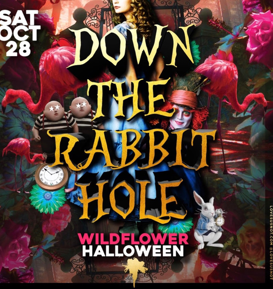 Down the Rabbit Hole