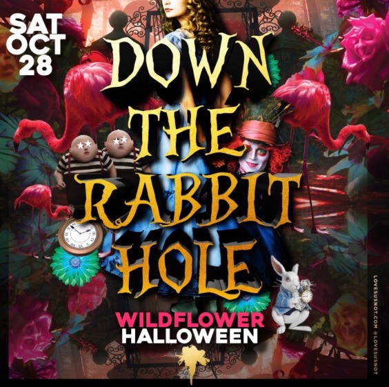 Down the Rabbit Hole