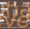 ARMY of MAD & SupaCozy present WHATEVER!  NYE 2011 PARTY!