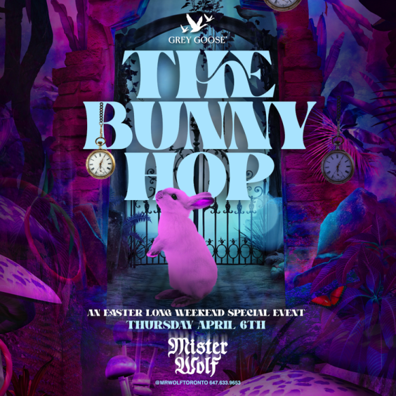 MISTER WOLF - THE BUNNY HOP