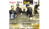 IIFA Buzz Brampton