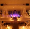PHENOMENON | New Years Eve