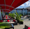 Sarcoa Fridays - #Wild4Love