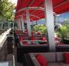 Sarcoa Fridays - #Wild4Love