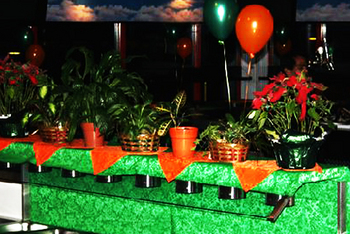 Coconuts Nightclub Venue