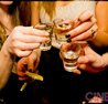 2014 Serbian Long Weekend Party